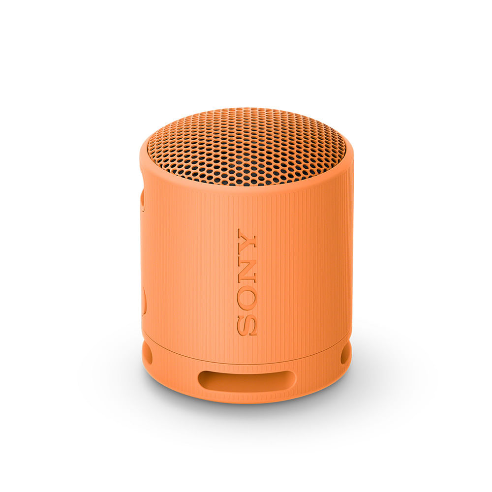 Parlante inalámbrico portátil | Resistente al agua | Batería 16 horas | SRS-XB100 | SRS-XB100/DCLA